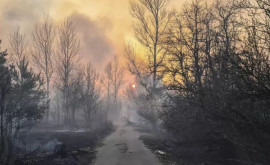 Облако черного дыма движется из зоны Чернобыля к Черному морю