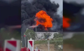 Incendiu puternic lînga aeroportul din Geneva