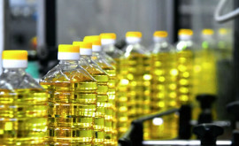 В Молдове возросло производство растительного масла