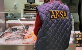 ANSA a stabilit o serie de nereguli la comercializarea peștelui în magazinele din capitală