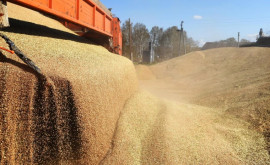 China a cerut crearea unui coridor verde pentru exporturile de cereale din Rusia și Ucraina