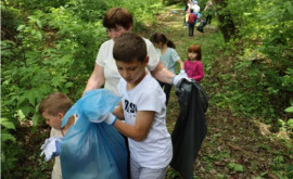 Участок в Криулянах очистили в рамках экологического проекта