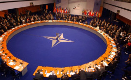 Radu Marian participă la Sesiunea de primăvară a Adunării Parlamentare a NATO