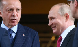 Россия и Турция готовы содействовать вывозу зерновых из украинских портов