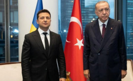 Зеленский провел переговоры с Эрдоганом Первые подробности разговора