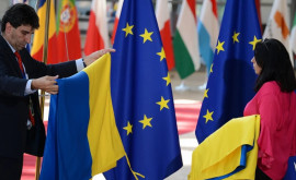 Крупные страны Евросоюза выступили против статуса кандидата Украины в ЕС