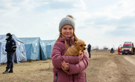 100 дней войны в Украине 52 млн детей нуждаются в гуманитарной помощи 