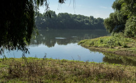 Ecodava Нужна национальная стратегия для спасения реки Бык