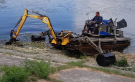 Cum decurg lucrările de curățare a lacurilor din Parcul Valea Trandafirilor din capitală