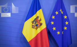 Năstase Să depui o cerere pentru aderarea la UE nuți trebuie multă minte