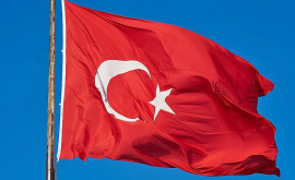Турция готова обеспечить вывоз зерна с Украины