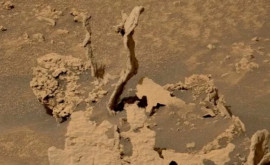 Roverul Curiosity a descoperit țepi bizari pe planeta Marte Cum arată și ce sunt de fapt