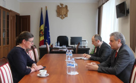Vicepremierul Oleg Serebrian a avut o întrevedere cu Ambasadoarea Suediei