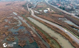 Самая грязная река в области — Пельшма в Сокольском районе