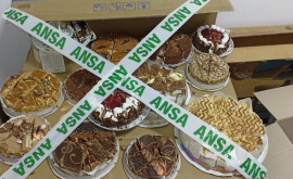 15 loturi de produse de patiserie au fost retrase de pe piață de către ANSA