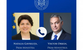 Гаврилица провела телефонный разговор с премьерминистром Венгрии