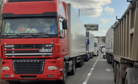 В Бельцах замечены грузовики с украинскими номерами в сопровождении полиции