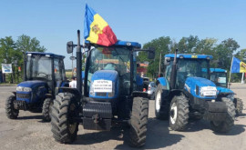 Fermierii din Sudestul Republicii Moldova sau pornit la proteste