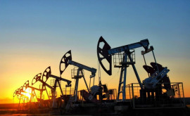 Цены на нефть резко снизились 