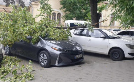 Copaci doborîți crengi rupte și mașini avariate în urma vîntului puternic din capitală