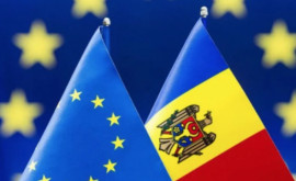 Евродепутат Просим Совет Европы предоставить статус кандидата Молдове и Украине