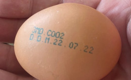 Партия яиц изъята из продажи изза сальмонеллы