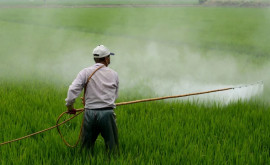 Евросоюз не откажется от целей вдвое сократить применение пестицидов к 2030 году