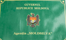 Cine este noul director al Agenţiei Moldsilva