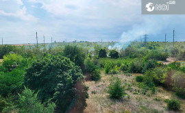 Un incendiu de vegetație a izbucnit în sectorul Botanica al capitalei