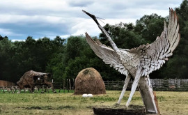 Цапля новая гигантская скульптура в заповеднике Pădurea Domnească на севере Молдовы