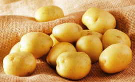 Цены на молодой картофель в Молдове нетипично стабильны В чем причины