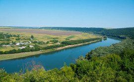 Изза засухи уровень воды в реках Днестр и Прут заметно снижается