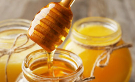Засуха ставит под угрозу урожай мёда