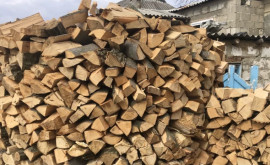 Folosirea rațională a lemnului de foc în atenția Guvernului