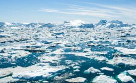Temperaturile arctice cresc de patru ori mai repede decît încălzirea globală