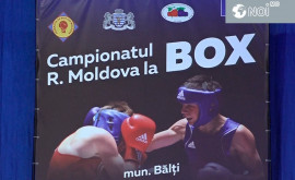 La Bălți a început campionatul de box al Moldovei