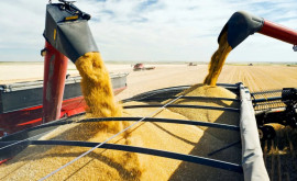 Au fost dezvăluite detaliile tranzacției privind exportul de cereale ucrainene