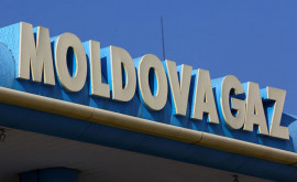 APP va iniția negocieri pentru auditul datoriilor Moldovagaz
