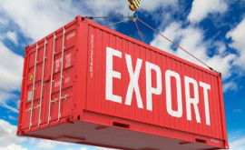 В этом году экспорт достиг рекордного роста