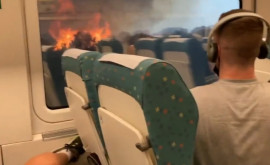 В Испании пассажиры засняли на видео проезд поезда через лесной пожар