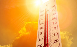 В стране объявлен желтый код опасности изза жары