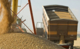 Россия и Украина подпишут соглашение об экспорте зерна
