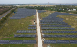 Guvernul a aprobat majorarea cotelor de capacitate pentru instalațiile fotovoltaice 