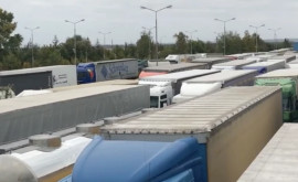 Почти 80 грузовых фур стоят в очереди на таможне Албица