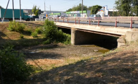 Сток рек Молдовы уменьшается изза сильной засухи