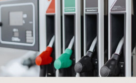 НАРЭ завершает шестую неделю подряд снижением цен на топливо