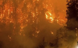 Incendii devastatoare în California A fost decretată stare de urgență