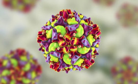 Вирус полиомиелита обнаружен в сточных водах в штате НьюЙорк 
