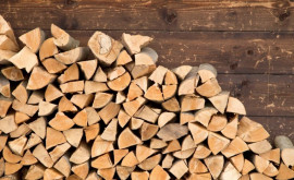 Правительство установит потолок цен на дрова Готовимся к тяжелой зиме