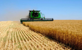 Asociația Forța Fermierilor insistă să fie introdusă stare de urgență în agricultură